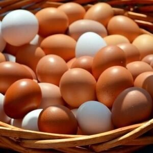 Huevo 34 Piezas Temoaya